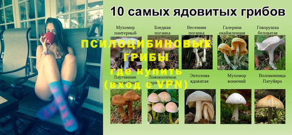 прущие грибы Алзамай