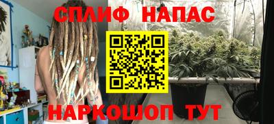 ГАЛЛЮЦИНОГЕННЫЕ ГРИБЫ Тулун