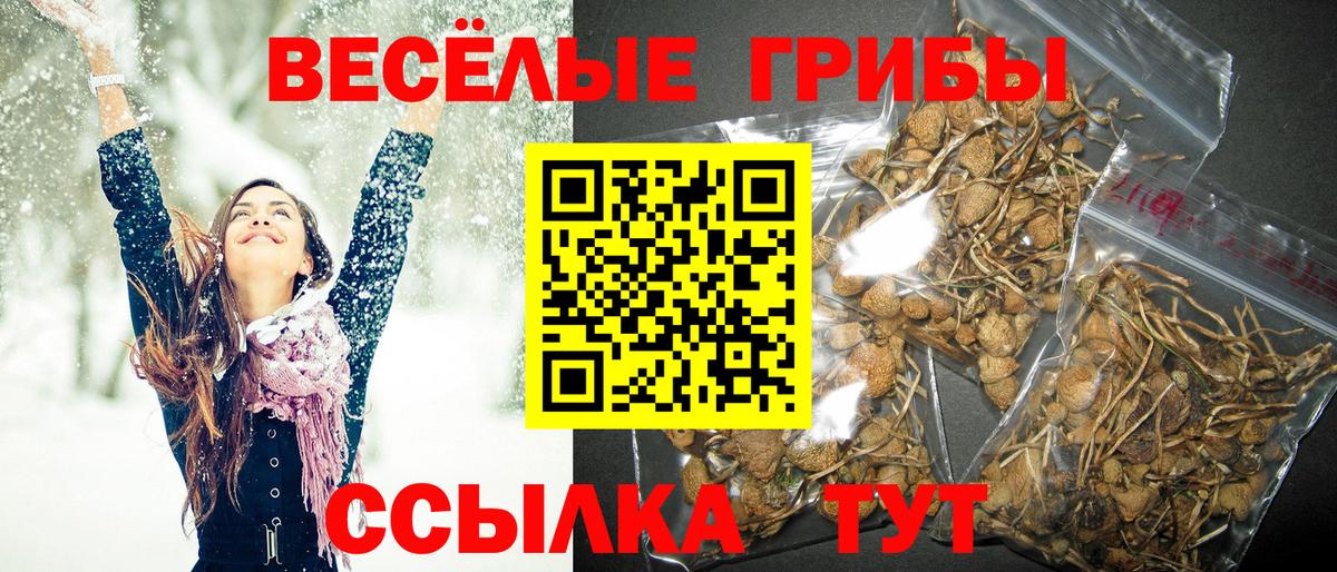 Галлюциногенные грибы прущие грибы Иркутск