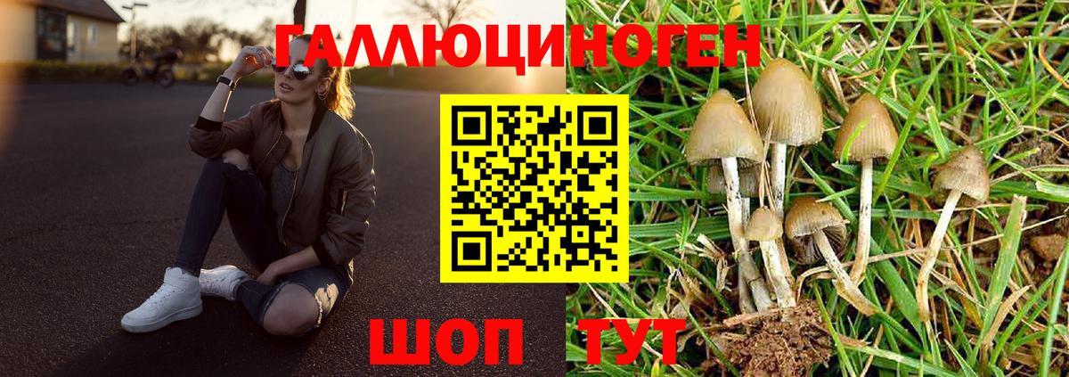 Псилоцибиновые грибы Psilocybine cubensis  Вход с VPN  Иркутск 